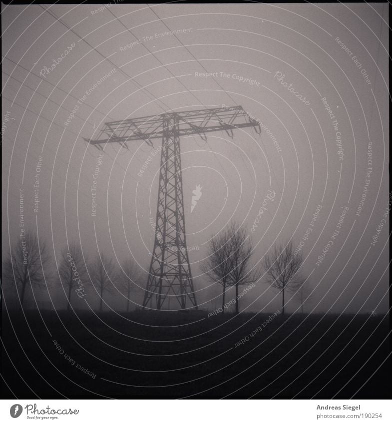 New Year's morning Technology Energy industry High voltage power line Electricity pylon Environment Nature Landscape Winter Climate Weather Bad weather Fog Tree