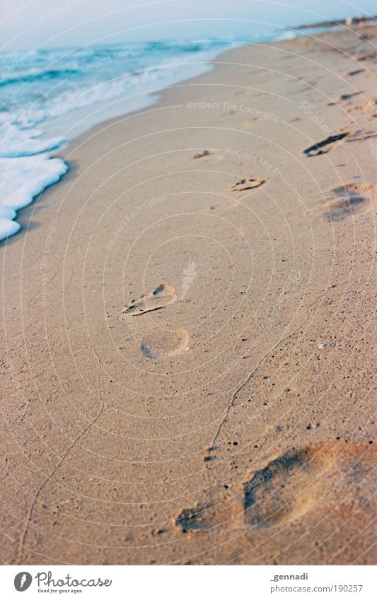 Walk by faith Beautiful Wellness Harmonious Relaxation Calm Footprint Pedestrian Tracks Imprint Beach Ocean Waves Vacation & Travel Freedom Jogging Life Feet