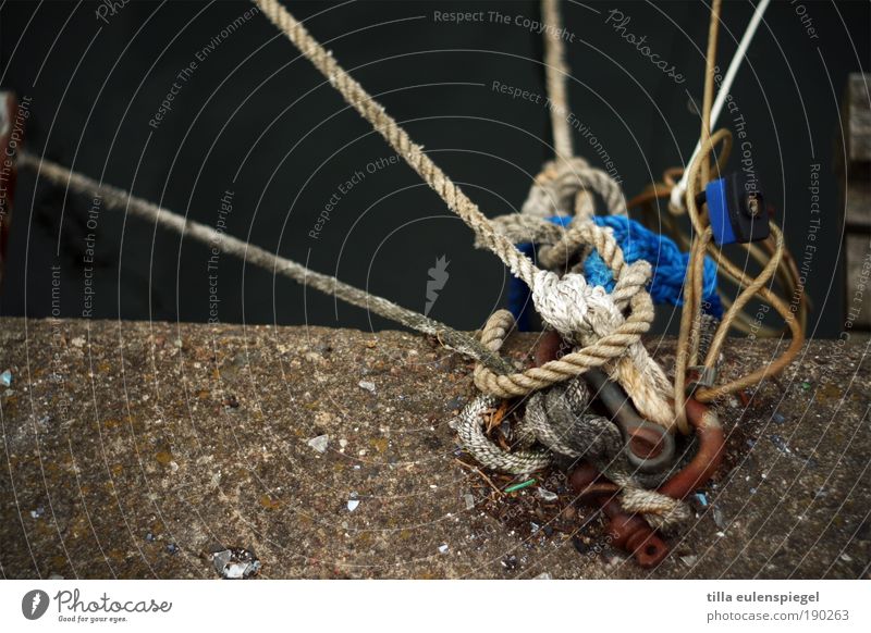 nothing for bond anxious Sailing Port City Navigation Fishing boat Harbour To hold on Stagnating Fastening Connect Bind Knot Stop Colour photo Exterior shot