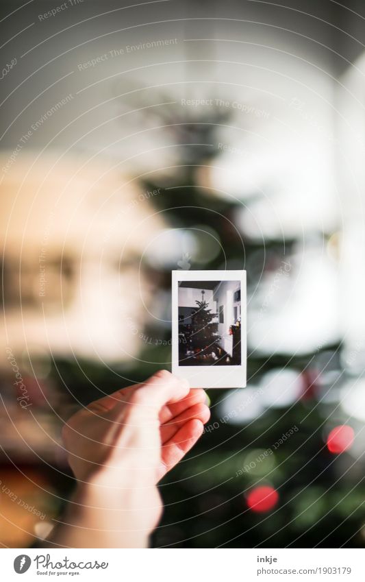 in memoriam Christmas & Advent Hand Polaroid Picture-in-picture Christmas tree Christmas decoration To hold on Emotions Moody Anticipation Nostalgia Memory