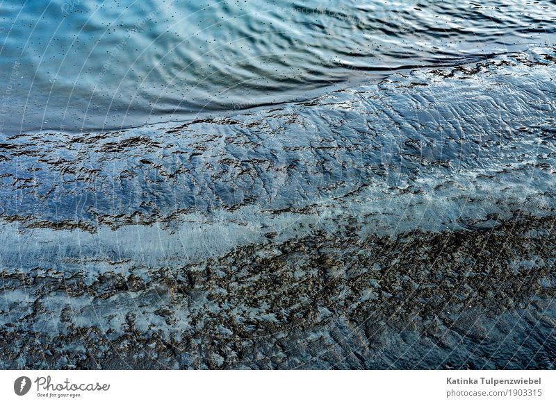 Wasser, Fluß und Schlick (Nahaufnahme der Elbe in Hamburg) Environment Nature Landscape Elements Sand Water Sunlight Beautiful weather Aurora Borealis Waves