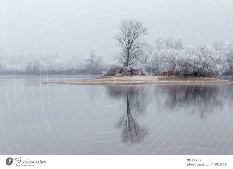 Desert Island Environment Nature Landscape Plant Sky Winter Ice Frost Snow Tree Lakeside Cold White Sadness Grief Longing Calm Dream Reflection Colour photo