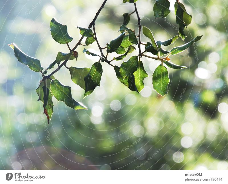 when the earth awakes. Nature Esthetic Relaxation Recreation area Natural Ecological Bright Bright green Green Life Beautiful Nature reserve Wake up