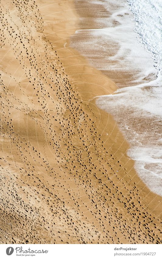 Tracks on the beach in Portugal Looking Central perspective Deep depth of field Reflection Silhouette Contrast Shadow Light Day Copy Space bottom Copy Space top