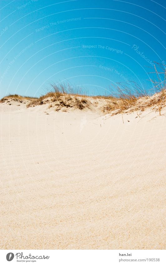 simple beach Copy Space bottom Copy Space top Colour photo Sunlight Summer Beach Desert Blue sky Cloudless sky Summer vacation Vacation & Travel Sand Relaxation