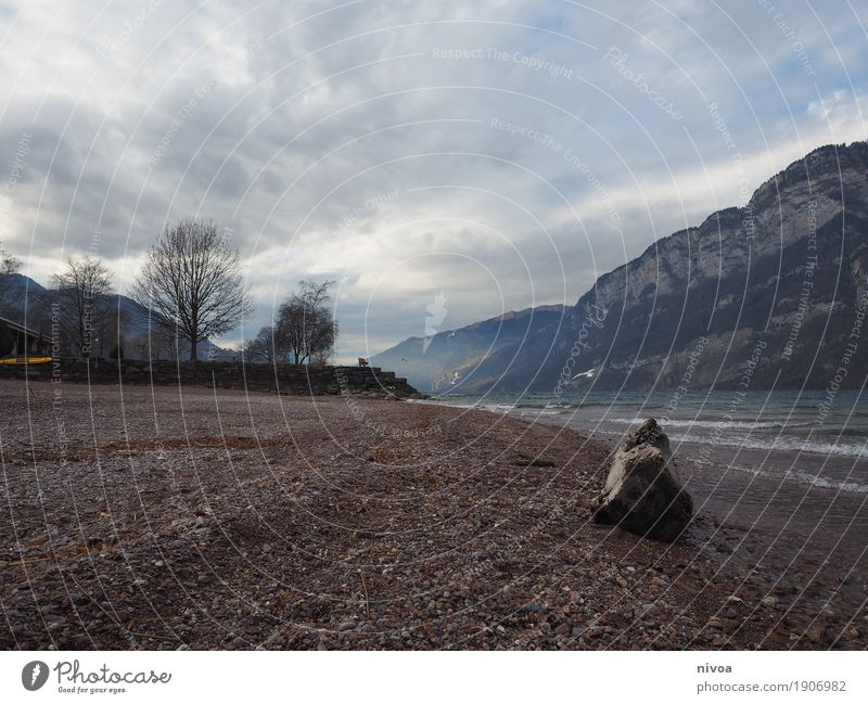 the other day at walensee Environment Nature Landscape Plant Animal Elements Earth Water Sky Clouds Sunlight Winter Climate Wind Fog Tree Rock Alps Mountain