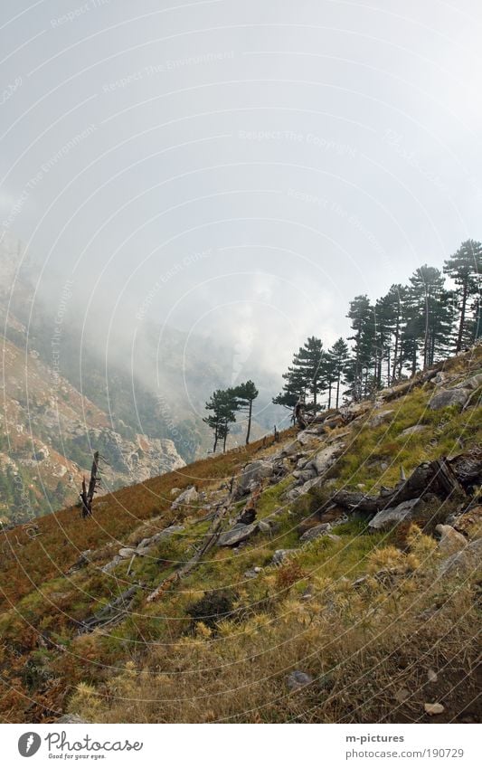 Hiking on Thassos Vacation & Travel Trip Summer vacation Mountain Nature Landscape Plant Sky Clouds Beautiful weather Tourism Target Go up Mountain hiking