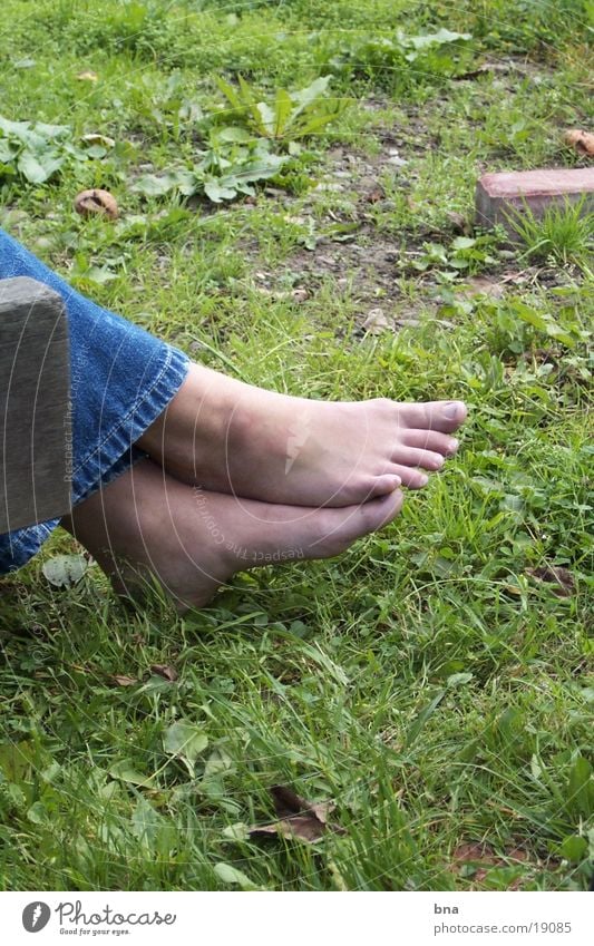 settle down Grass Close-up Calm Woman Feet