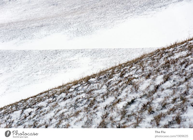 Natural geometry Winter Snow Winter vacation Mountain Hiking Ice Frost Snowfall Hill Alps South Tyrol Ahrn valley Italy Lanes & trails Esthetic Elegant Cold