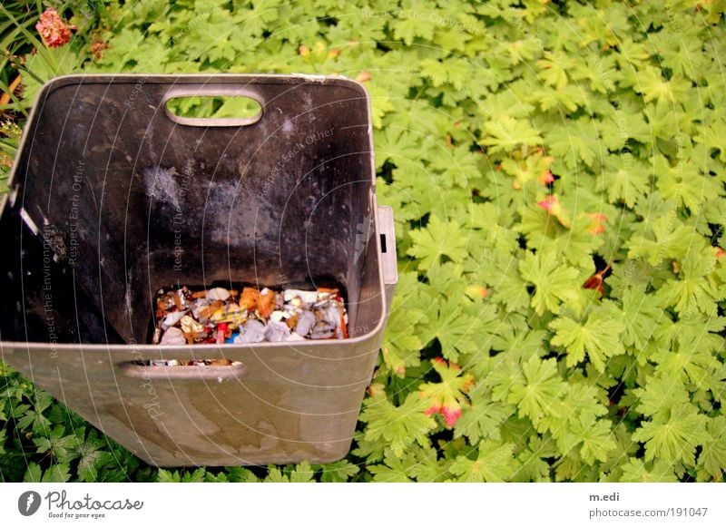 all for the garbage. Ivy Garden Park Trash Trash container Green Colour photo Exterior shot Copy Space right Copy Space top Copy Space bottom Copy Space middle