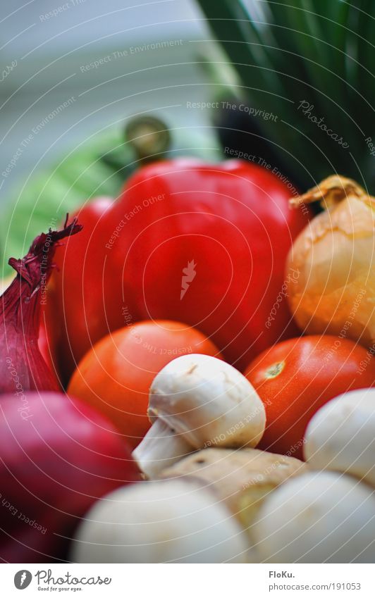 The best from the farmer Food Vegetable Nutrition Dinner Banquet Organic produce Vegetarian diet Diet Fasting Green Red White Healthy Pepper Tomato