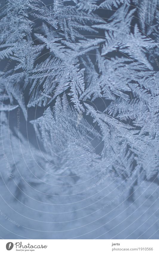 Cold times Winter Ice Frost Glass Frostwork Ice crystal Exterior shot Close-up Detail Macro (Extreme close-up) Deserted Day Shallow depth of field