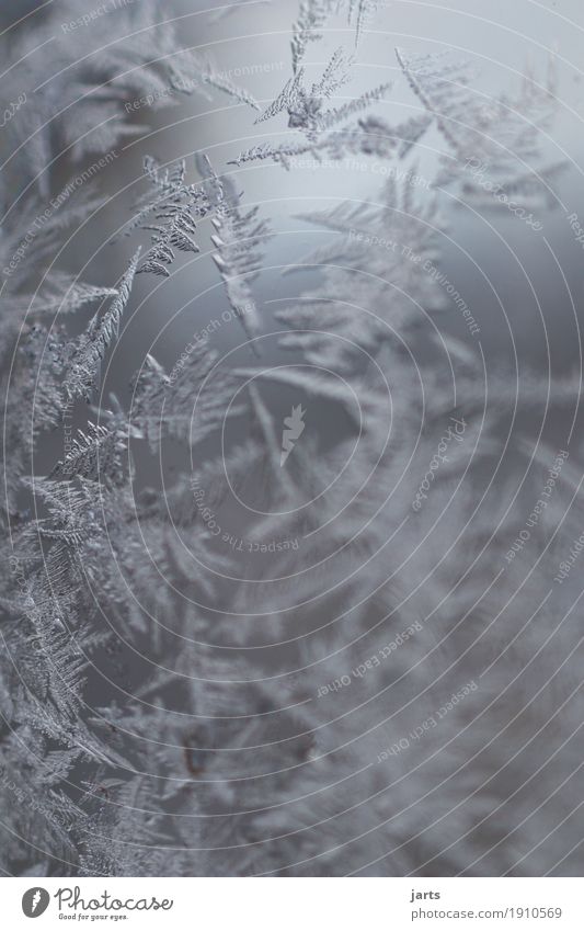 icily Winter Ice Frost Glass Freeze Cold Natural Nature Frostwork Ice crystal Glass ball Exterior shot Close-up Detail Macro (Extreme close-up) Deserted Day