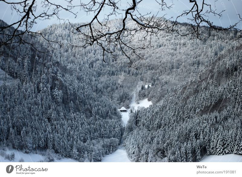 lonesome boor Nature Landscape Plant Winter Snow Tree Forest Mountain Far-off places Natural Black White Calm Dream Longing Loneliness Independence Environment