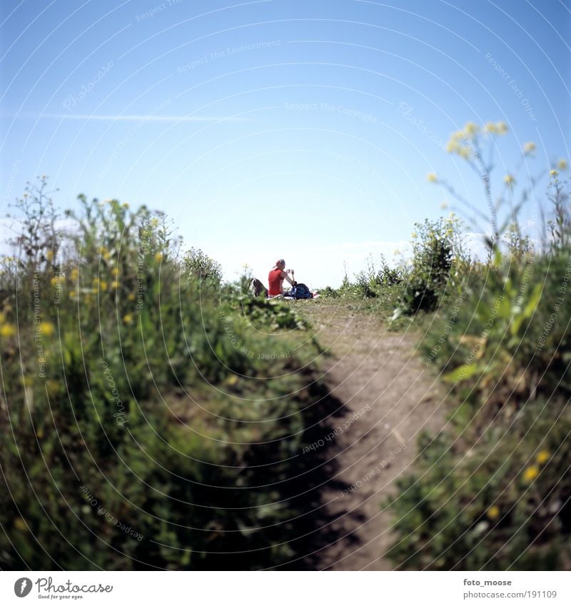 Picnic Business lunch Calm Vacation & Travel Trip Freedom Camping Summer Summer vacation Retirement Environment Nature Plant Beautiful weather Grass meadow Park