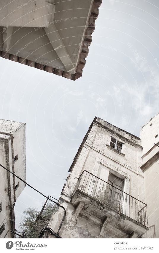 market hall Summer Beautiful weather Warmth Small Town Downtown Places Building Facade Balcony Roof Old To dry up Living or residing Sharp-edged Historic Broken