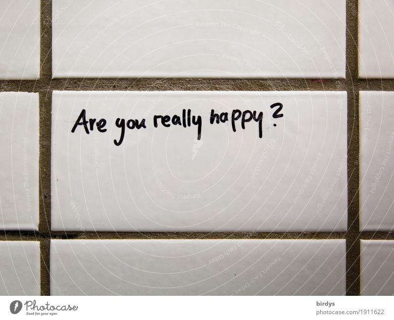 Question of the day Lifestyle Healthy Well-being School Work and employment Success To talk Wall (barrier) Wall (building) Characters Think Write