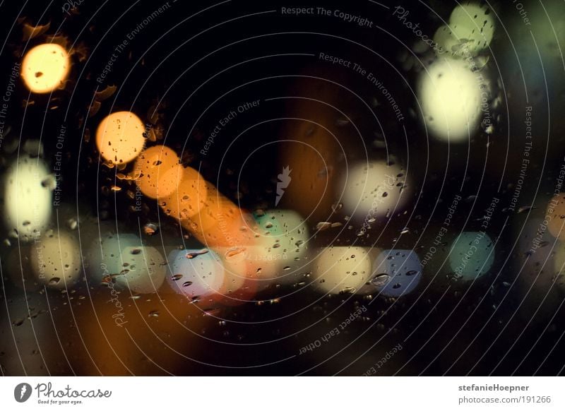 In the meantime Night life Drops of water Weather Rain Town Transport Means of transport Traffic infrastructure Motoring Street Traffic light streetlights Water