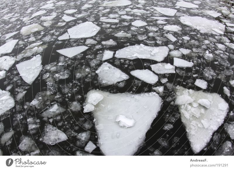 arctic Berlin Winter Environment Nature Landscape Water Climate Climate change Snow River Cold Ice Ice floe Spree Frost Fisheye Float in the water Icebreaker