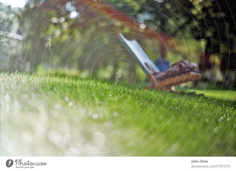 Place in the sun Well-being Contentment Relaxation Calm Leisure and hobbies Vacation & Travel Summer Summer vacation Sun Beautiful weather Grass Park Meadow