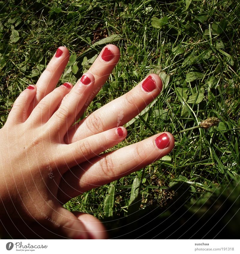 hand in hand ... Nature Sunlight Summer Grass Garden Park Meadow Joy Happiness Sympathy Idyll Child Infancy Joie de vivre (Vitality) Attachment Hand Fingers