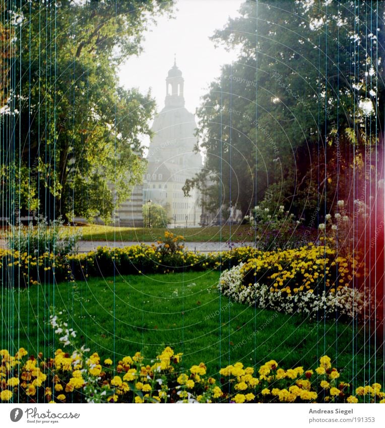 February 13/14 - 65 years later Environment Nature Landscape Flower Grass Garden Park Dresden Town Downtown Old town Tourist Attraction Landmark Monument