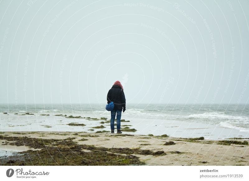 horizon Relaxation Vacation & Travel Woman Human being To go for a walk Promenade Loneliness Individual Wind Gale Waves Far-off places Horizon Autumn Sky Island