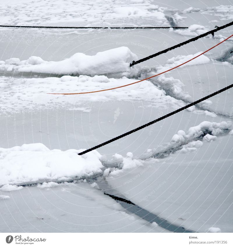 Ice on a rope Winter Rope Water Frost Harbour Cold Gray White Ice floe Feeder Snow Fracture point Diagonal Frozen Motionless Inner harbour Museum harbour