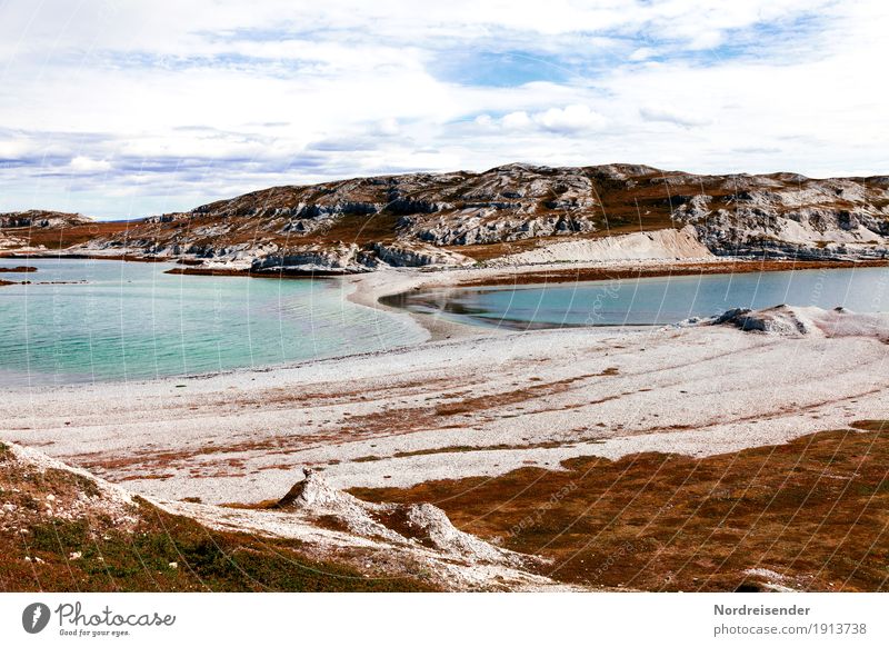 Coast at the Barents Sea in Norway Vacation & Travel Far-off places Ocean Island Nature Landscape Elements Water Spring Summer Grass Rock Hiking Maritime