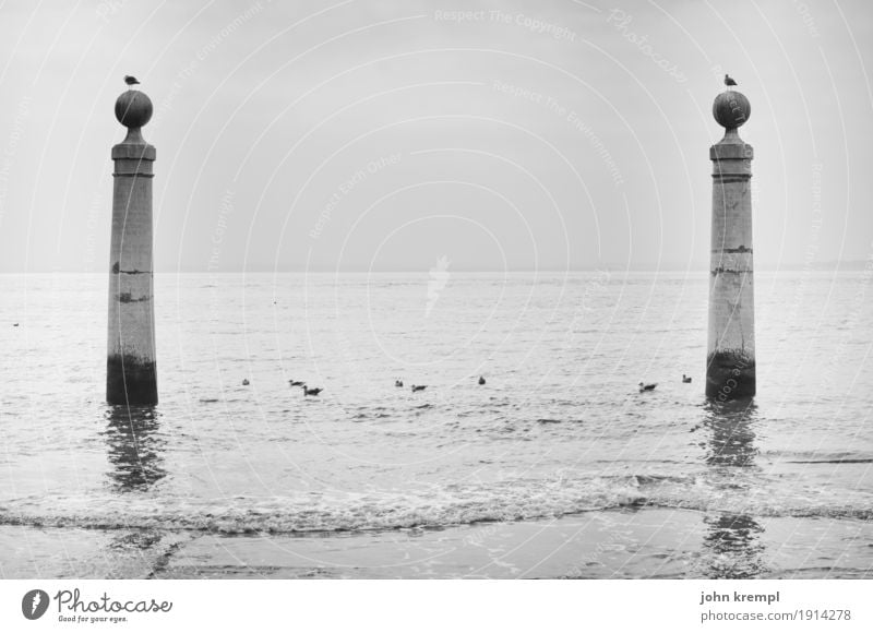 Praça do Comércio - Lisbon Waves Coast Ocean Portugal Capital city Old town Gate Harbour Column Tourist Attraction Seagull Dark Historic