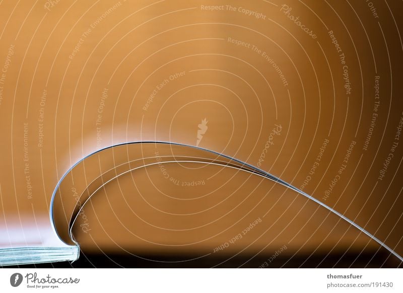 the perfect wave Education Study Academic studies Print media Newspaper Magazine Book Library Paper Relaxation Perspective Design Science & Research Movement