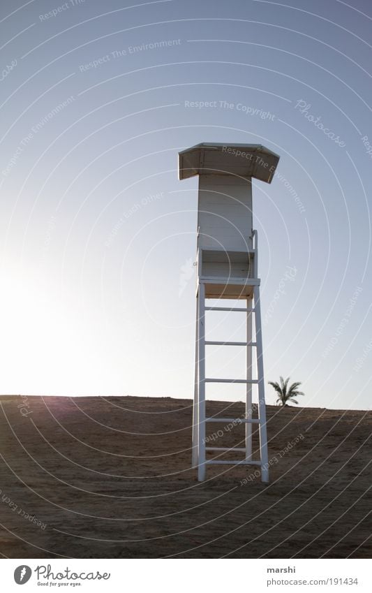 baywatch Vacation & Travel Nature Sand Tall Moody Bay watch Beach Hunting Blind Sun Sunset Light Shaft of light Ocean Palm tree Vantage point Lookout tower