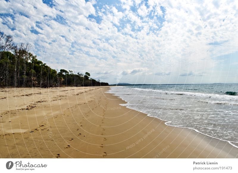 where are we? Vacation & Travel Trip Far-off places Freedom Summer Sun Beach Ocean Island Waves Environment Nature Landscape Sand Sky Clouds Forest Coast Bay