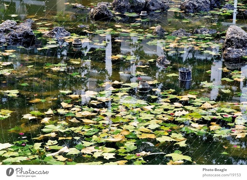 parked fountain-1 Fountain Brackish water Algae Leaf Town Leisure and hobbies Parking Water Commune Insolvency Arm