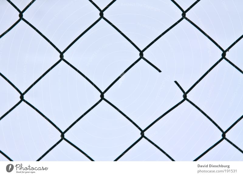 broken Blue Fence Wire netting fence Broken Interlaced Net Grid Gap Symmetry Line Network Disturbance Knot Square Destruction Connectedness Connection Plaited