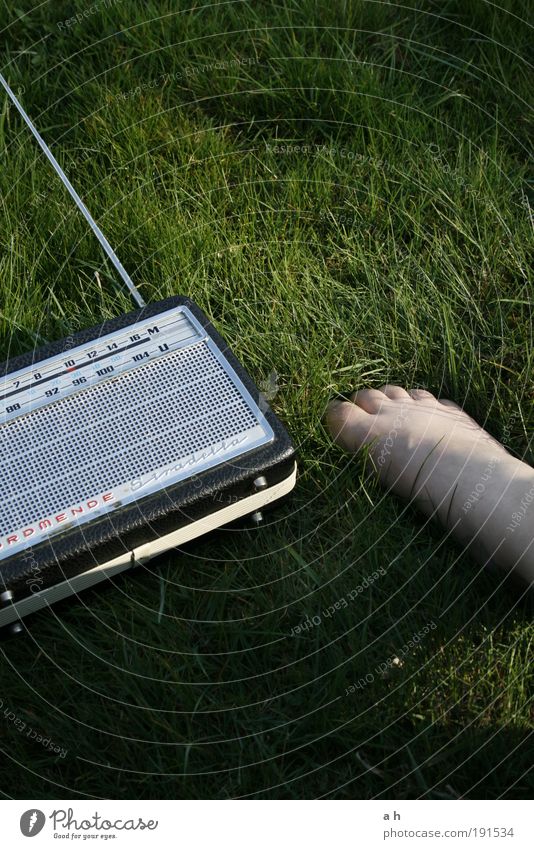 the grass is always greener on the other side.. Radio (device) Life Feet Nature Earth Spring Grass Garden Meadow Touch Discover Relaxation To hold on To enjoy