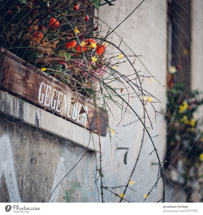 opposite number Small Town House (Residential Structure) Window Esthetic Beautiful Happy Happiness Warm-heartedness Sympathy Friendship Together Love