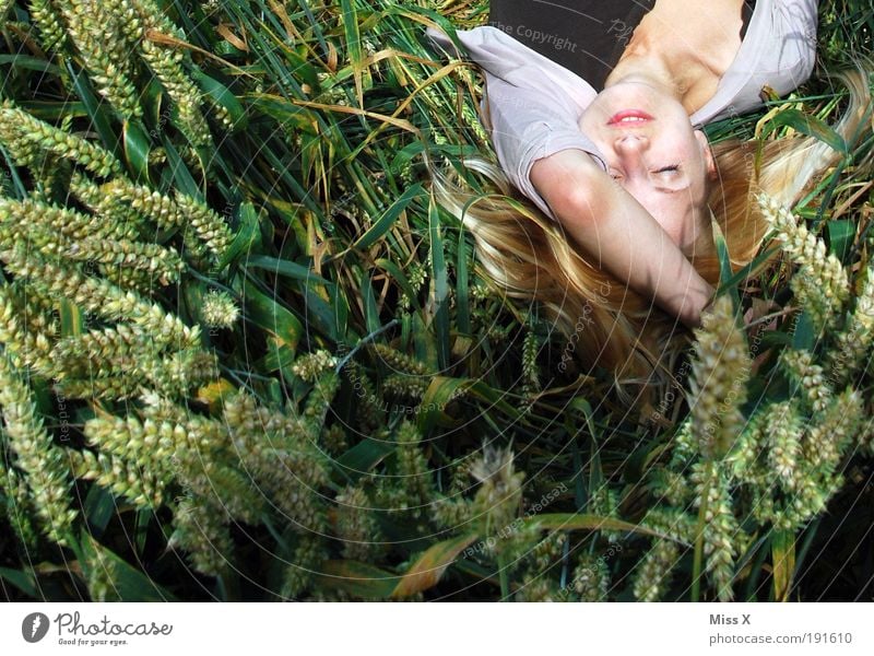 Ces in the field Grain Relaxation Calm Sunbathing Human being Young woman Youth (Young adults) Hair and hairstyles Face 1 18 - 30 years Adults Nature Summer