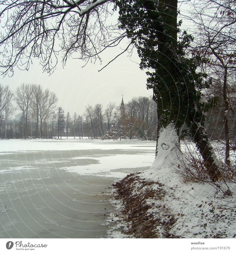 Valentine's Day on Monrepos Environment Nature Landscape Water Sky Winter Ice Frost Snow Tree Bushes Park Lakeside monrepos Ludwigsburg Germany Church Sign