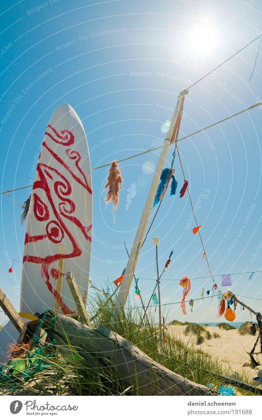 California dreaming Vacation & Travel Tourism Summer Summer vacation Sun Sunbathing Beach Ocean Island Whimsical Surfing Surfboard Light Shadow Sunlight Sunbeam