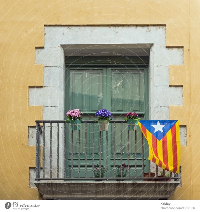 Viva Catalonia House (Residential Structure) Girona Spain Old town Manmade structures Building Architecture Facade Window Stone Flag Historic Yellow Green White