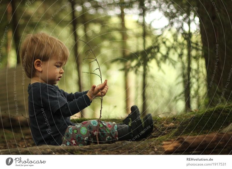 A thousand first sit down and take a look. Human being Masculine Child Toddler Boy (child) Infancy 1 1 - 3 years Environment Nature Landscape Summer Plant Tree