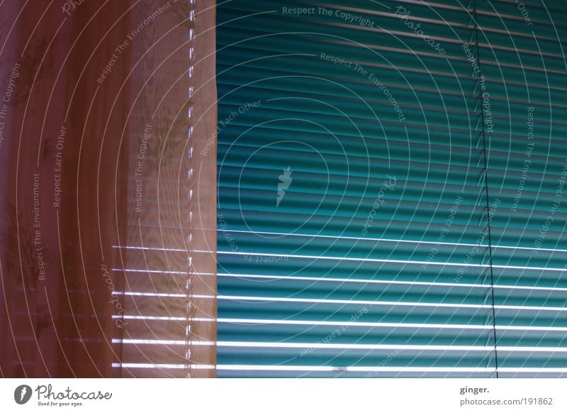 Don't look out the window... Window Blue Pink Venetian blinds Disk Drape translucent Blue-green dusky pink String locked exclusion hide sb./sth. mute Stripe