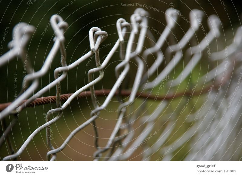 freedom from fencing Winter Grass Garden Park Village Fear Fear of death Fear of the future Freedom Fence Wire netting fence Iron Wire cable Rust Eyelet