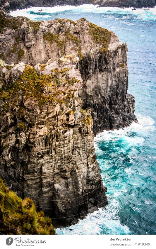 Rocks with surf in Azores Swell rocky coast Stone Freedom Panorama (View) Far-off places Copy Space left Vacation & Travel Adventure Trip Tourism Elements