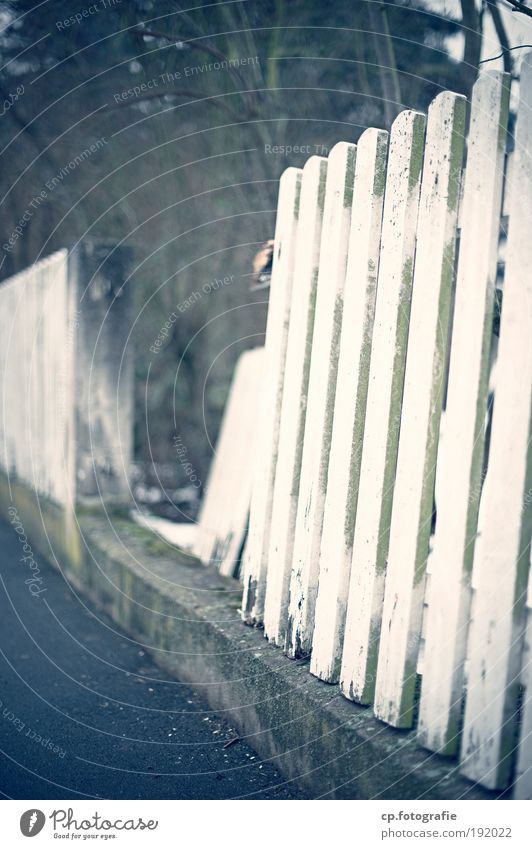 Fence #1 Garden Redecorate Fence post Gap in the fence Painter Restoration Tree Bushes Historic Gloomy Exterior shot Shallow depth of field