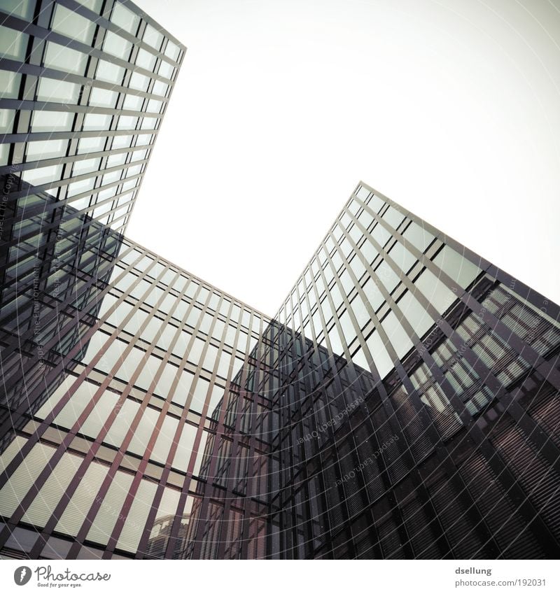 Buildings with glass facades - view from bottom to top in bad weather Germany Europe Port City High-rise Manmade structures Architecture Facade Window