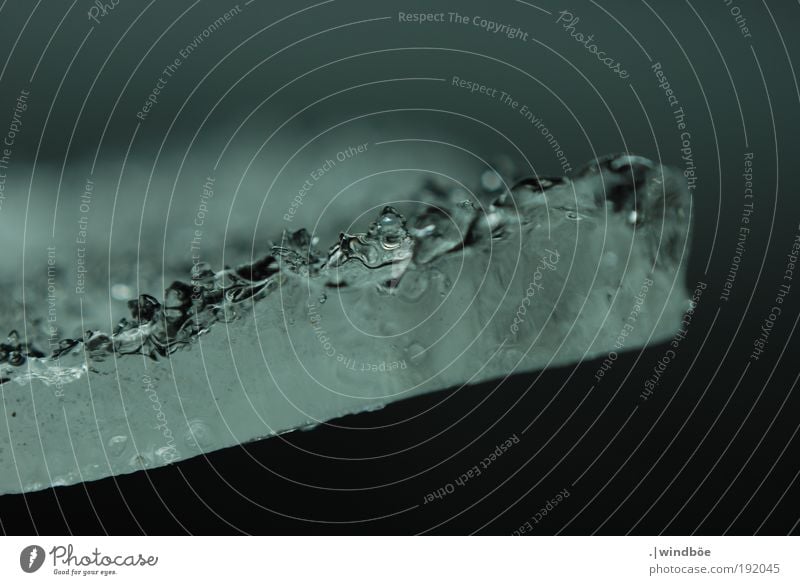 Solidified in motion Nature Air Water Winter Climate change Wind Ice Frost Observe Touch Movement Relaxation Freeze Firm Fresh Glittering Cold Modern Wet