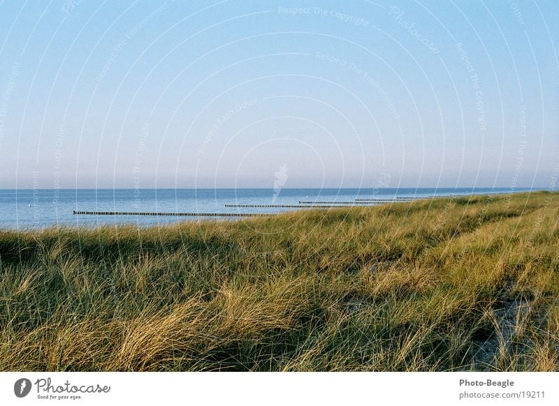 farewell glance Lake Ocean Waves Beach Evening sun Dusk Vacation & Travel Zingst Baltic Sea Water Break water Sand soft light Beach dune beach grass