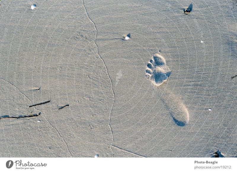 A small step for a stranger Beach Footprint Lake Ocean Vacation & Travel Zingst Sand sea seaside holiday holidays vacation Barefoot